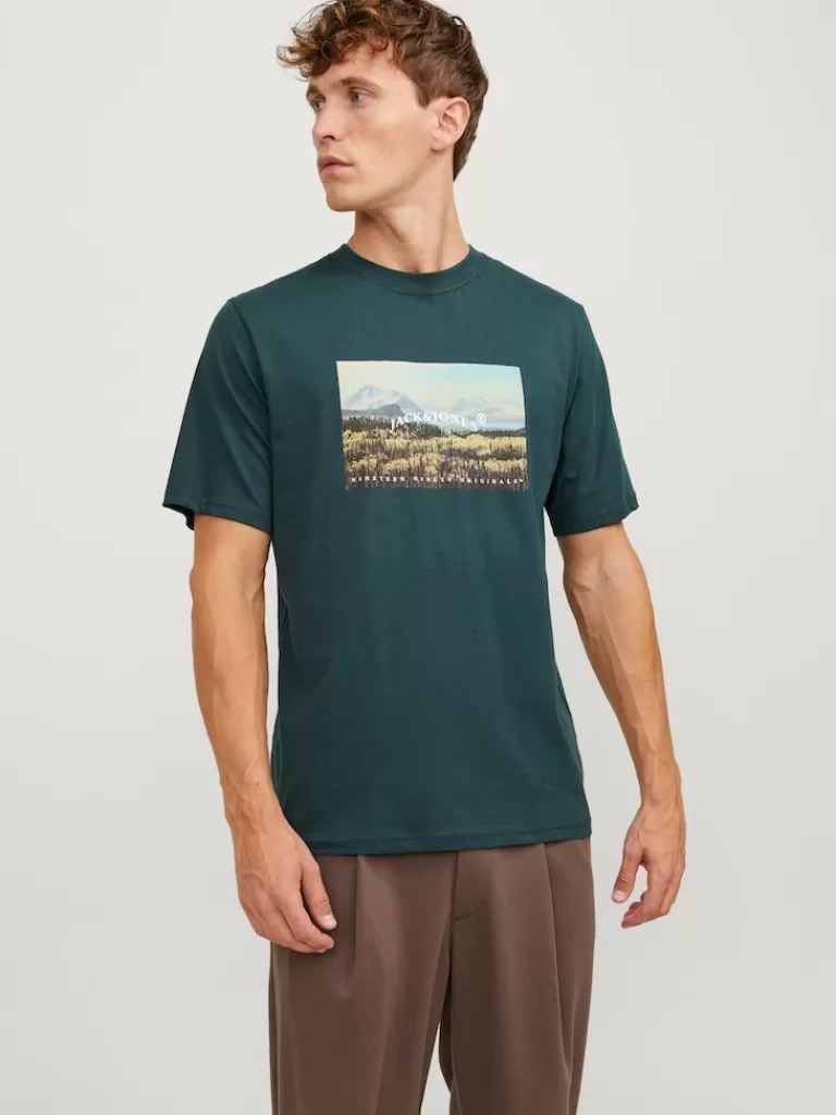 JACK&JONES HAYS PRINT T-SHIRT Magical Forest-Men T-shirts